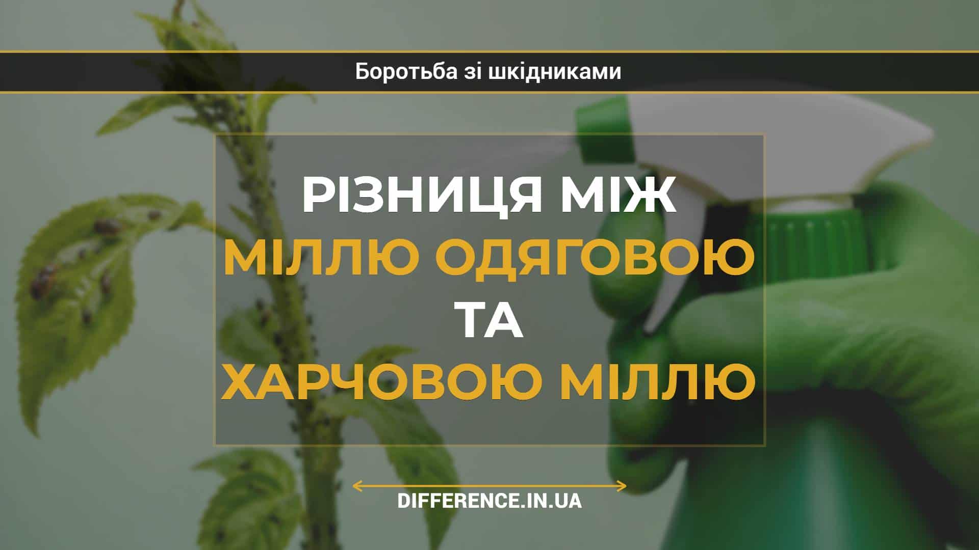Різниця між міллю одяговою та харчовою міллю
