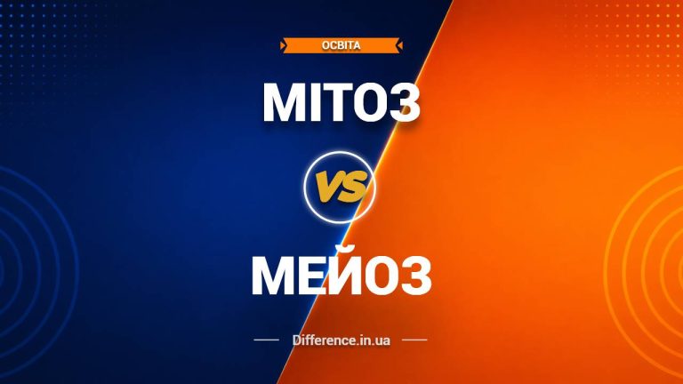 Різниця між мітозом і мейозом