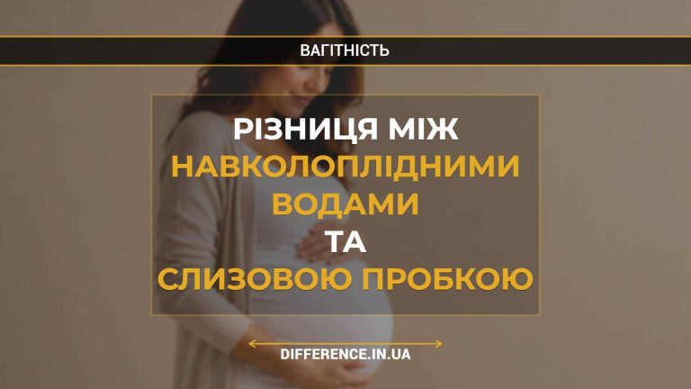 Різниця між навколоплідними водами та слизовою пробкою