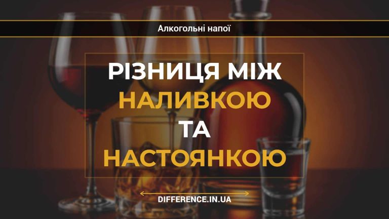 Різниця між наливкою та настоянкою