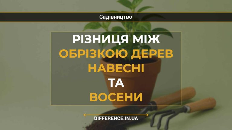 Різниця між обрізкою дерев навесні та восени