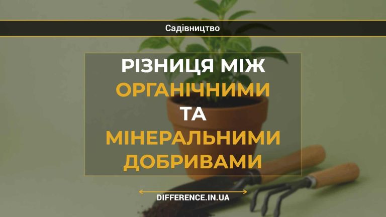 Різниця між органічними та мінеральними добривами