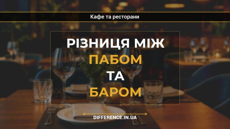 Різниця між пабом та баром