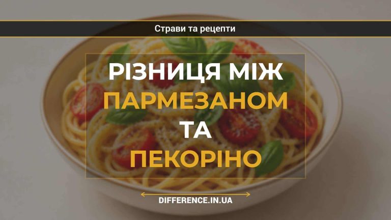 Різниця між пармезаном та пекоріно