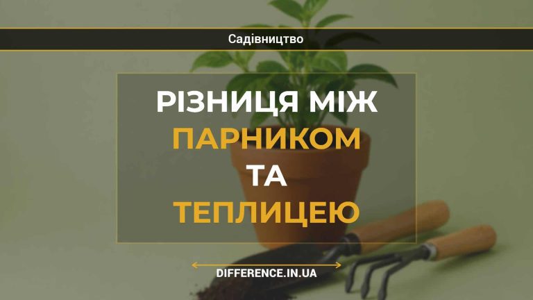 Різниця між парником та теплицею