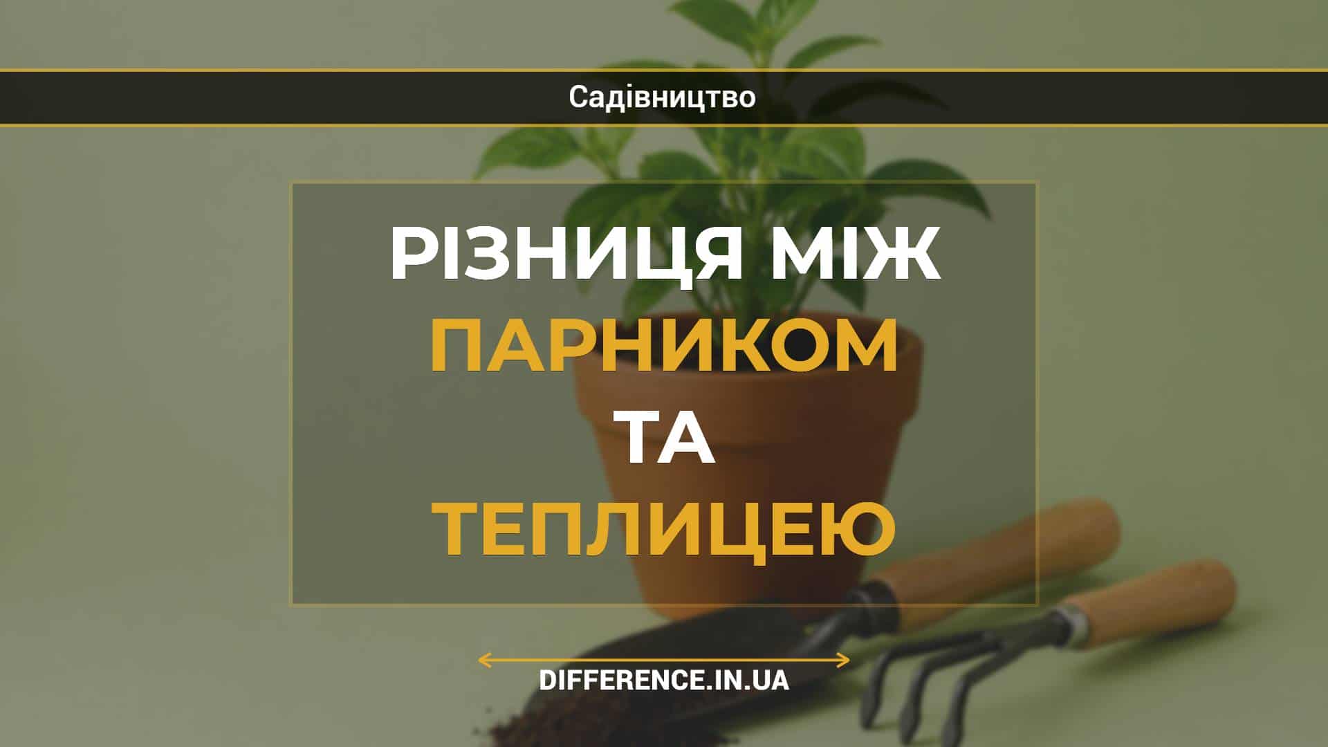 Різниця між парником та теплицею
