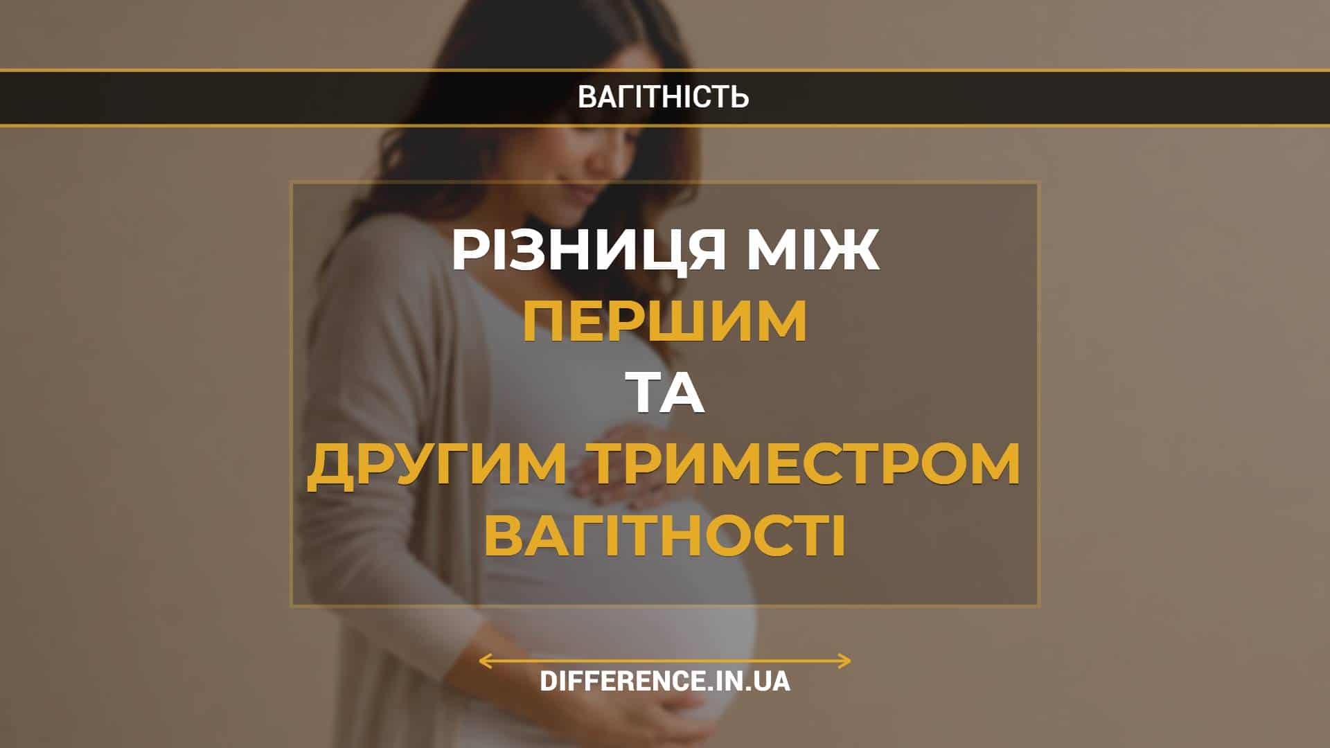 Різниця між першим та другим триместром вагітності (1)