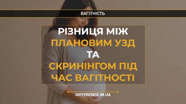 Різниця між плановим УЗД та скринінгом під час вагітності