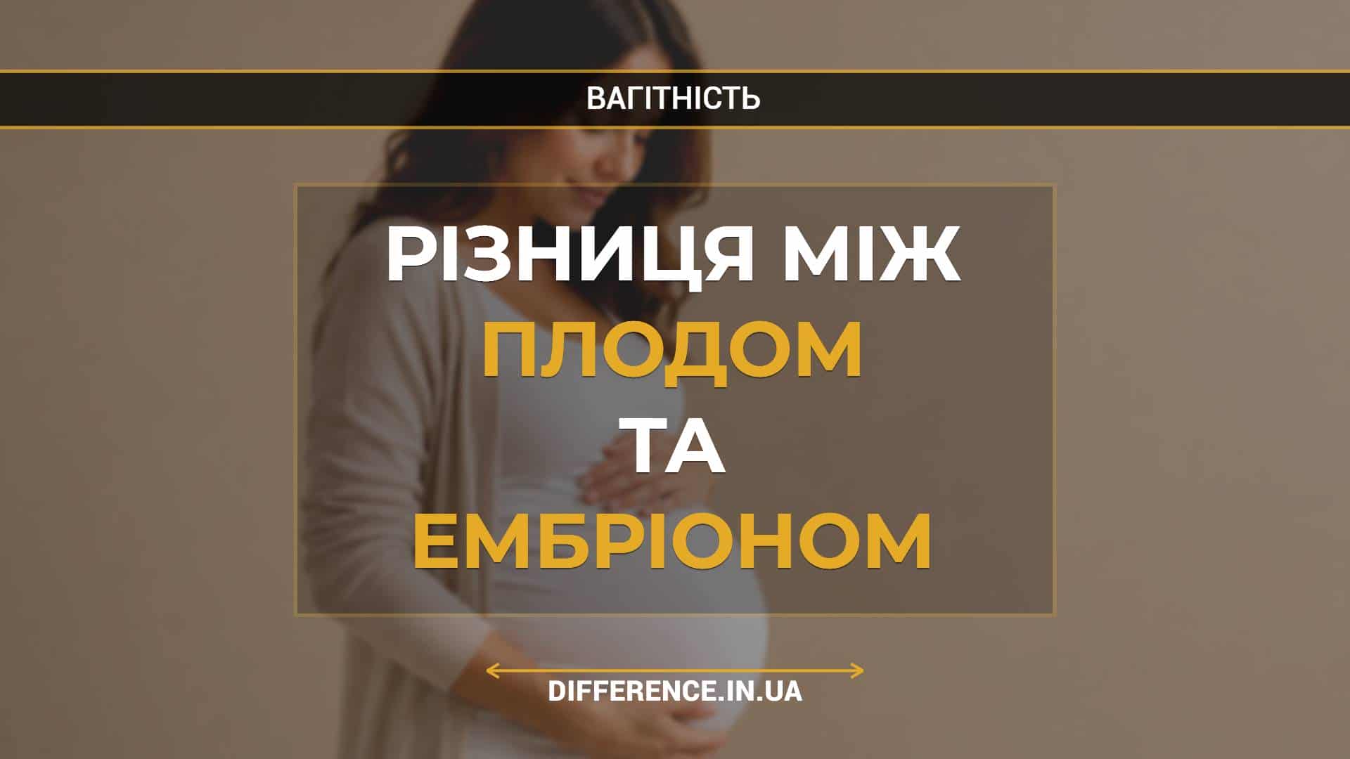 Різниця між плодом та ембріоном