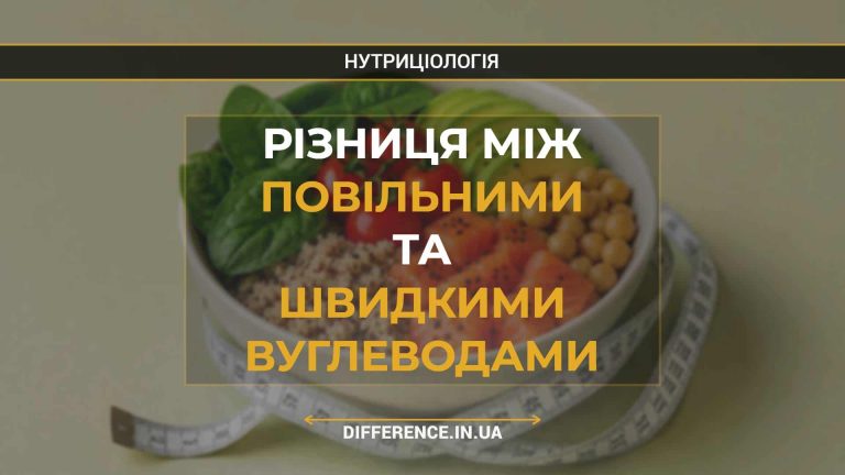 Різниця між повільними та швидкими вуглеводами (1)