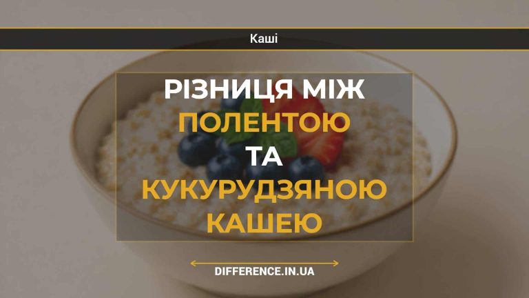 Різниця між полентою та кукурудзяною кашею