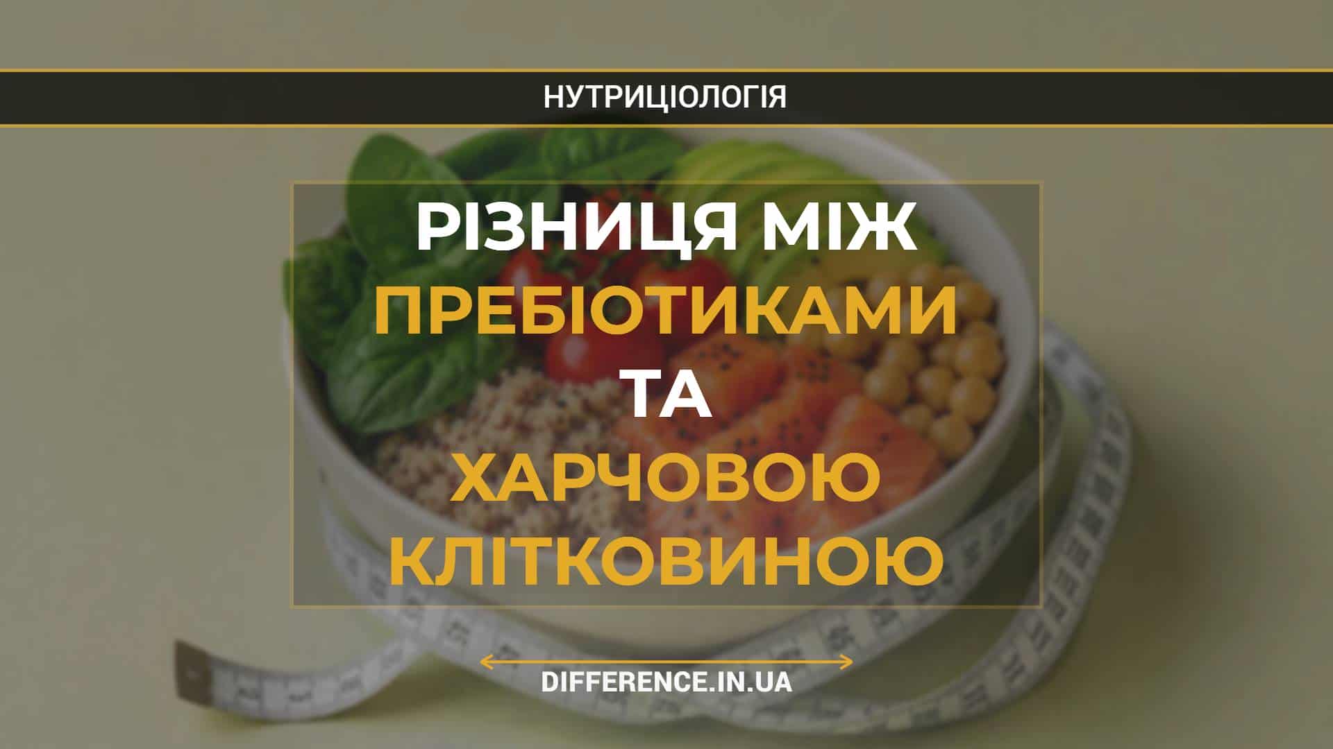 Різниця між пребіотиками та харчовою клітковиною