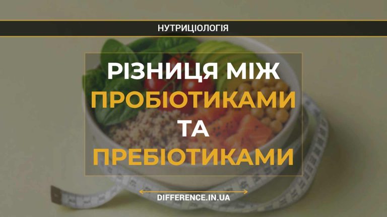 Різниця між пробіотиками та пребіотиками