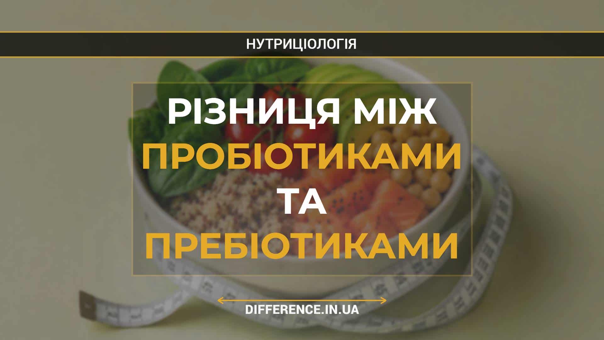Різниця між пробіотиками та пребіотиками
