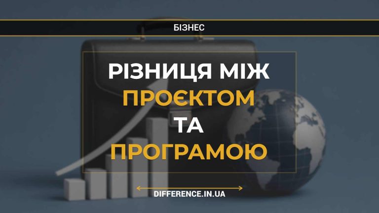 Різниця між проєктом та програмою