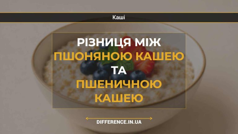 Різниця між пшоняною кашею та пшеничною кашею