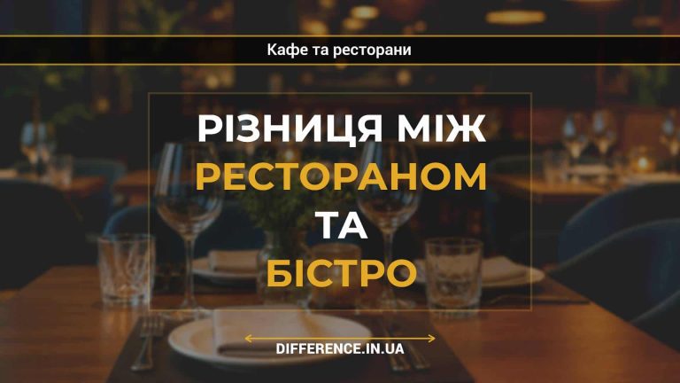 Різниця між рестораном та бістро