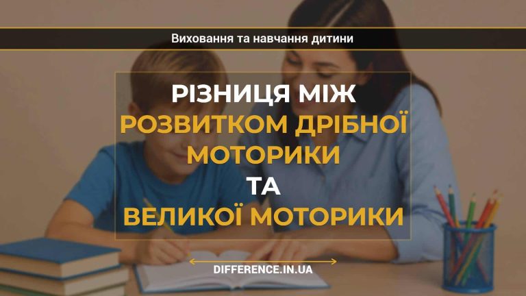 Різниця між розвитком дрібної моторики та великої моторики
