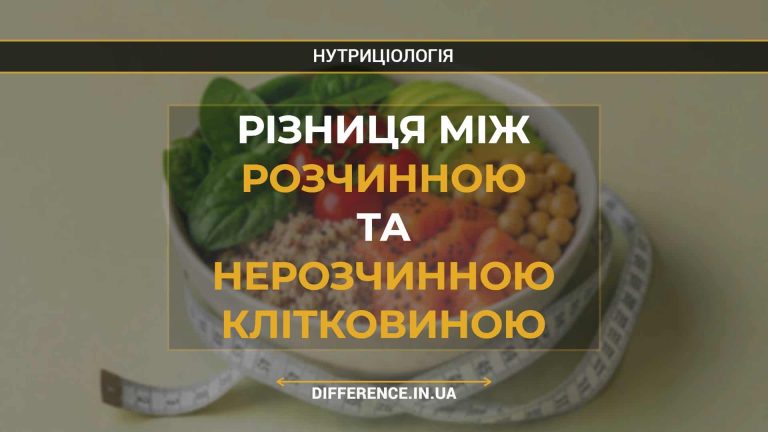 Різниця між розчинною та нерозчинною клітковиною
