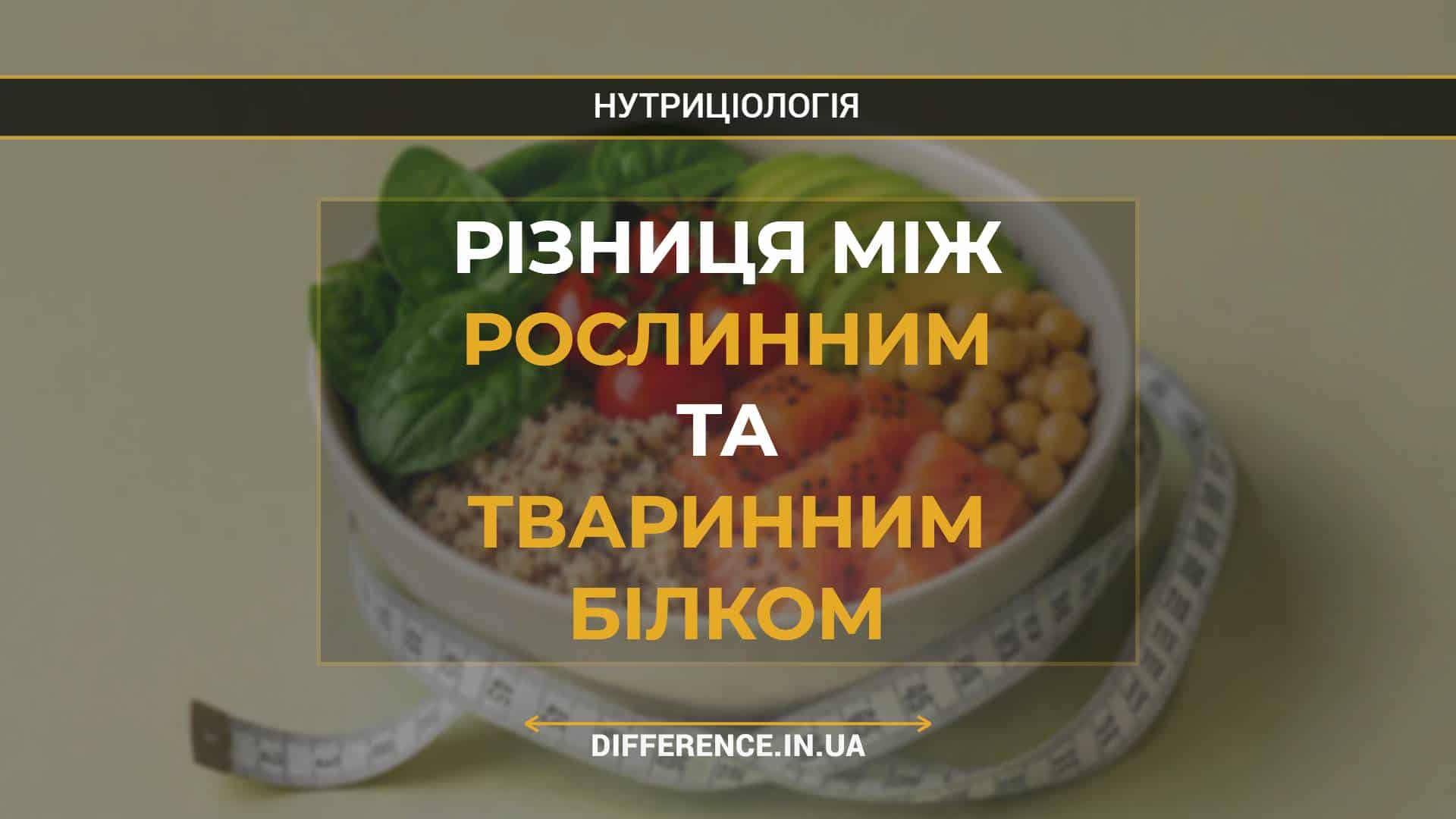 Різниця між рослинним та тваринним білком