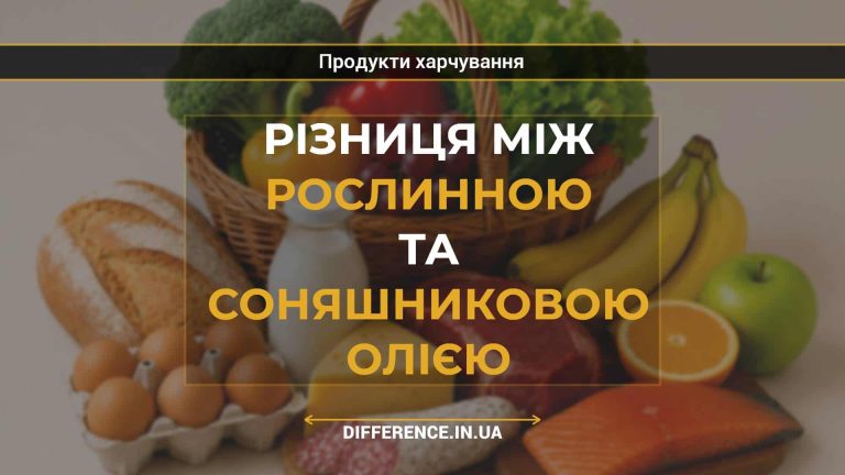 Різниця між рослинною та соняшниковою олією