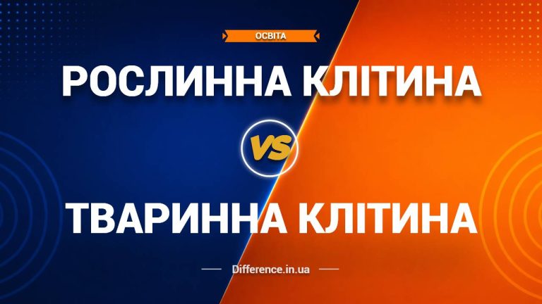 Різниця між рослинною та тваринною клітиною