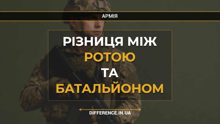 Різниця між ротою та батальйоном