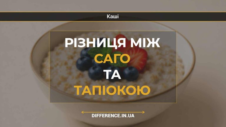 Різниця між саго та тапіокою