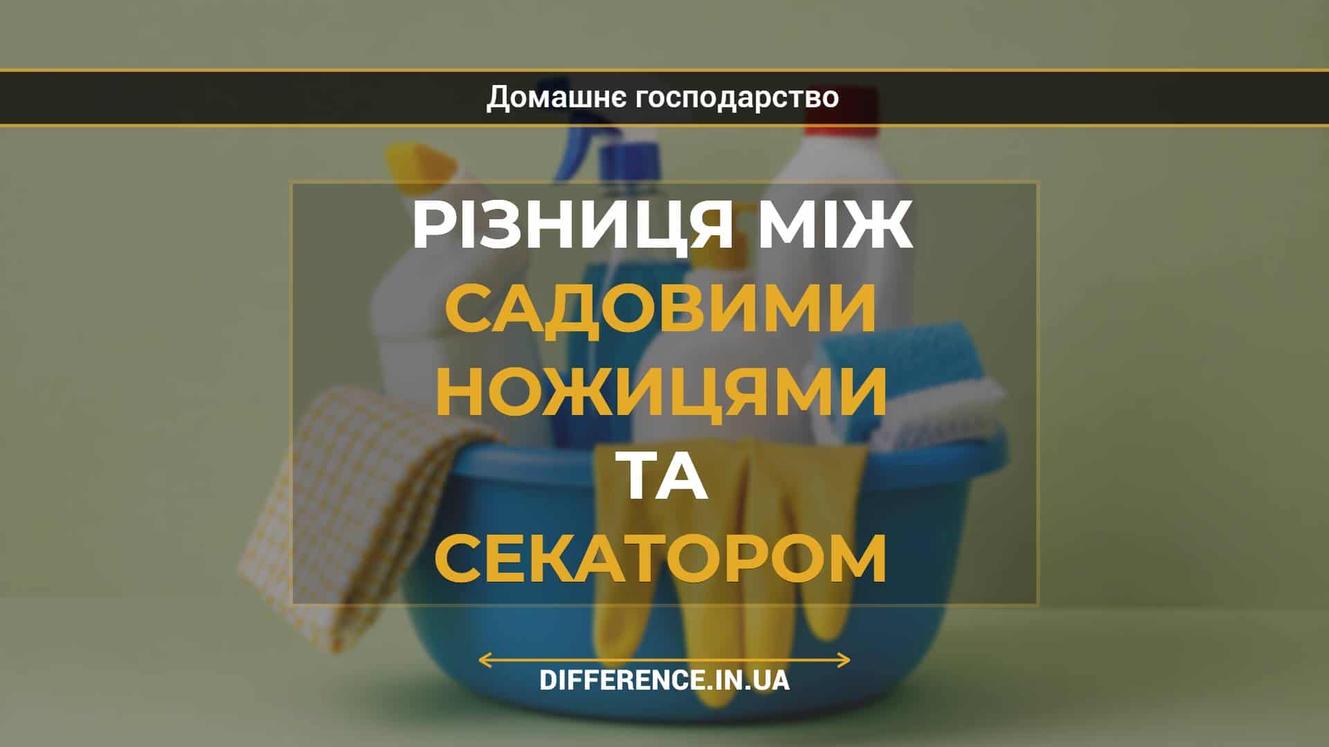 Різниця між садовими ножицями та секатором