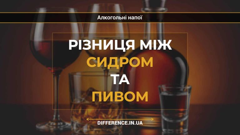 Різниця між сидром та пивом