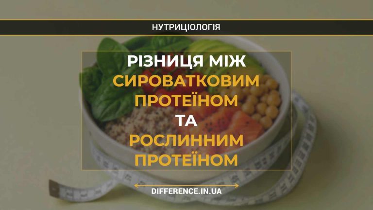 Різниця між сироватковим протеїном та рослинним протеїном