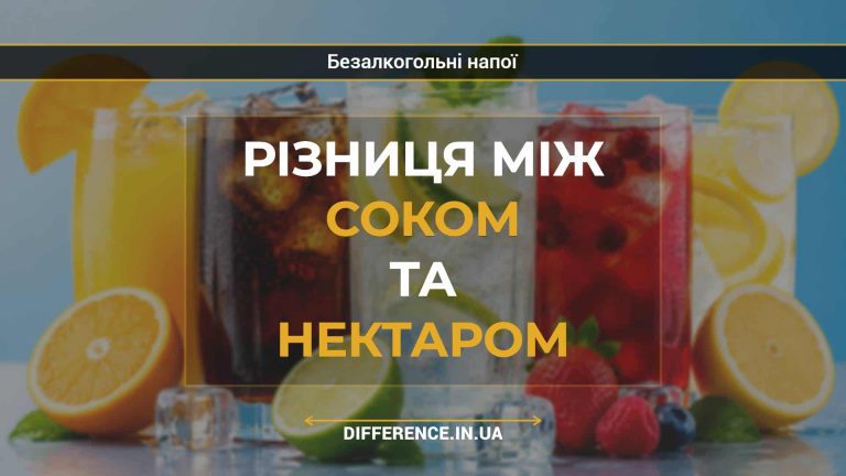 Різниця між соком та нектаром