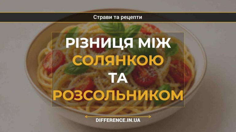 Різниця між солянкою та розсольником