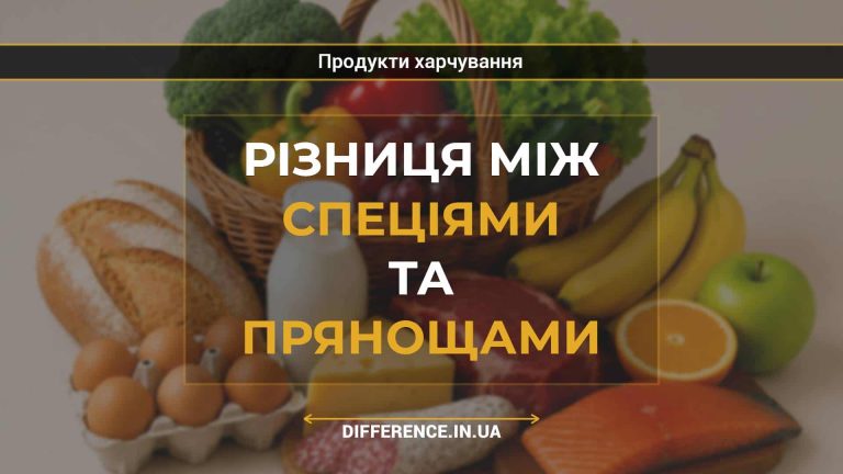 Різниця між спеціями та прянощами