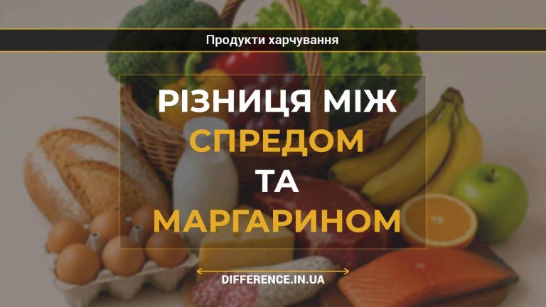 Різниця між спредом та маргарином