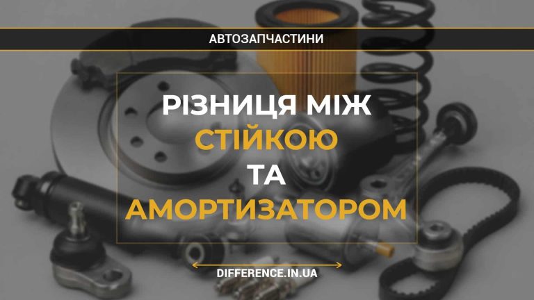 Різниця між стійкою та амортизатором