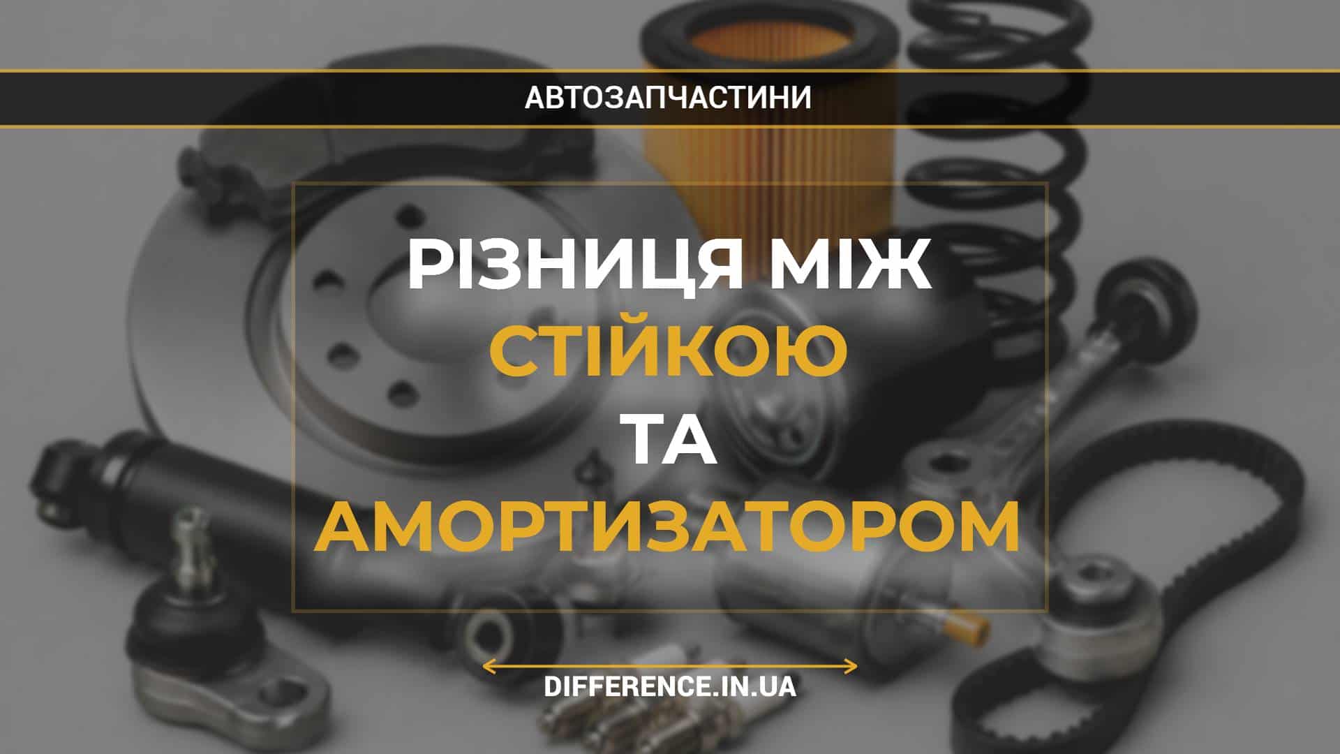 Різниця між стійкою та амортизатором
