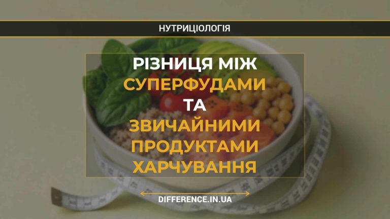 Різниця між суперфудами та звичайними продуктами харчування