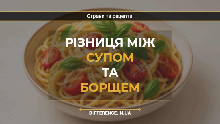 Різниця між супом та борщем