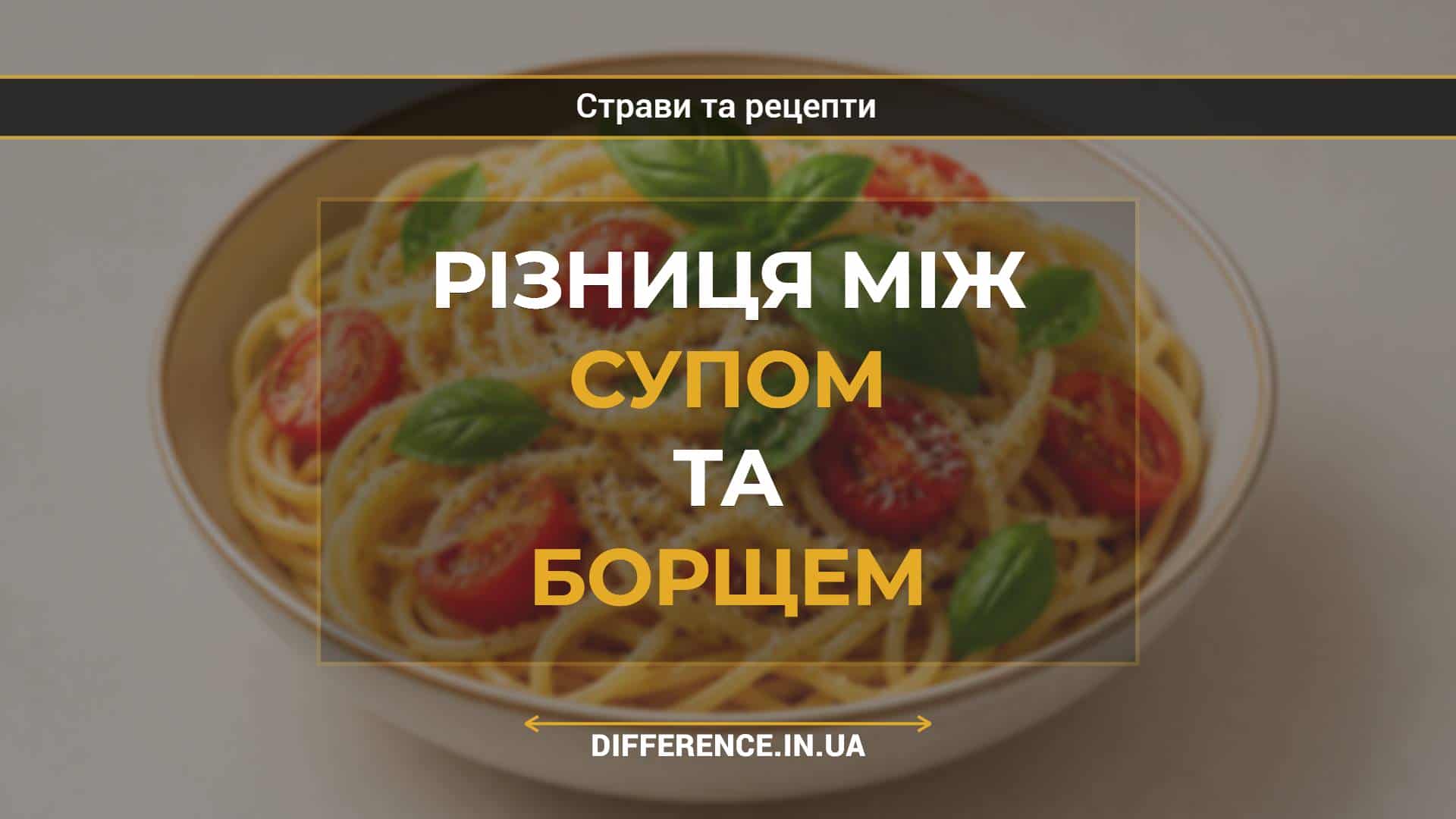 Різниця між супом та борщем