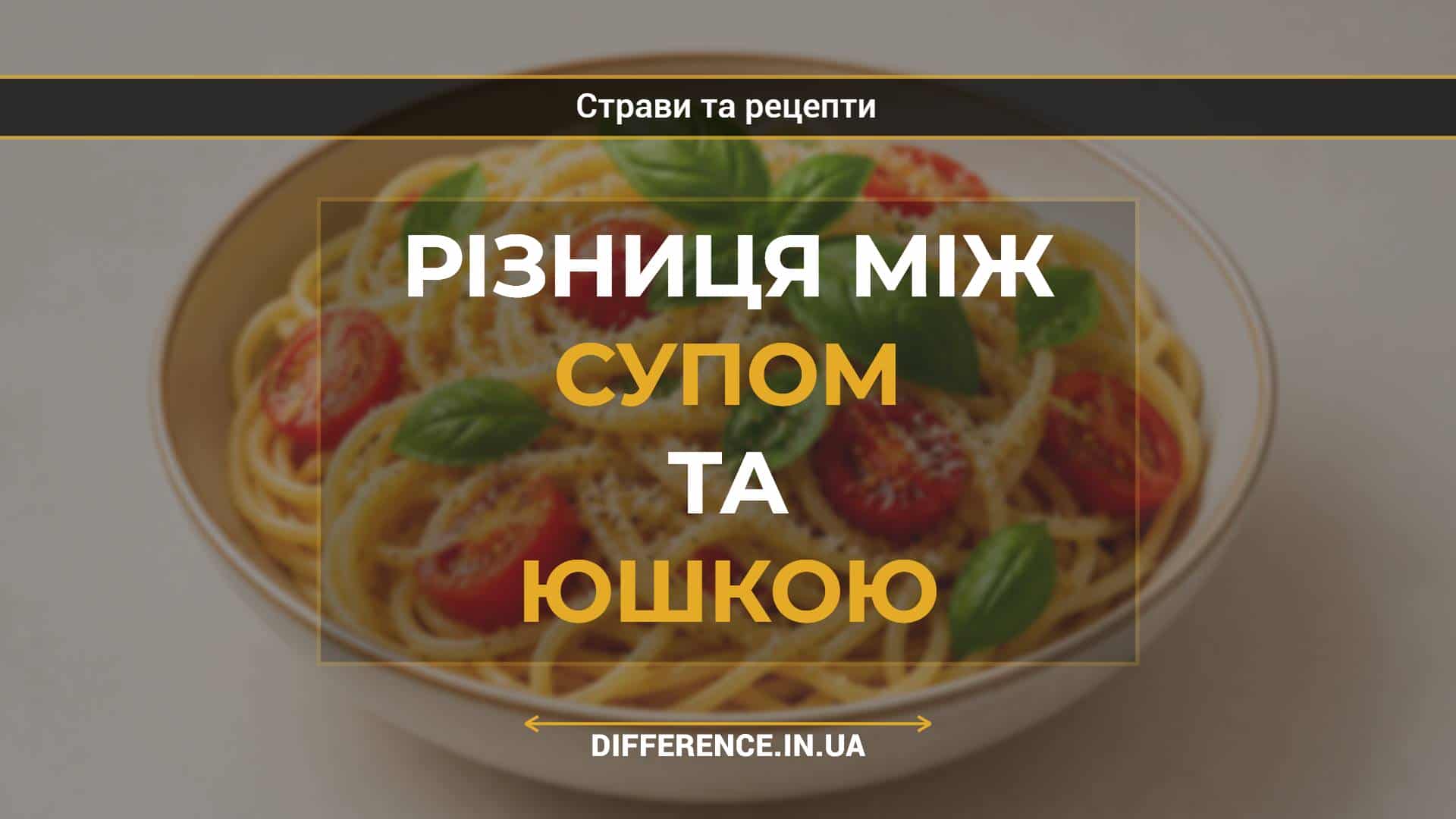 Різниця між супом та юшкою