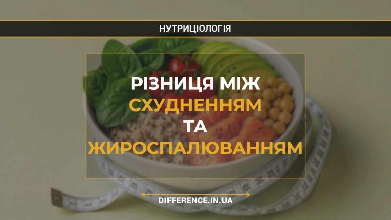 Різниця між схудненням та жироспалюванням
