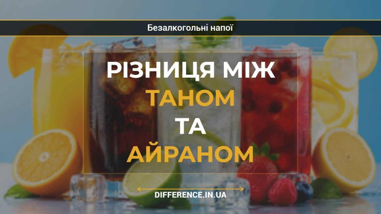 Різниця між таном та айраном