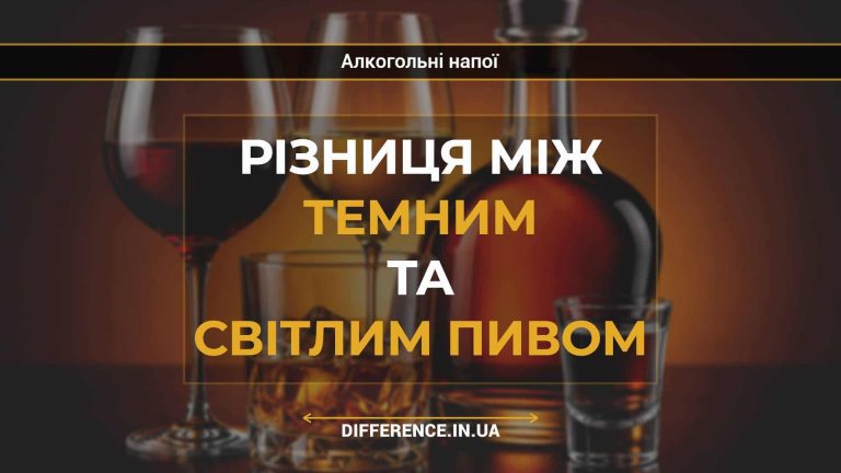 Різниця між темним та світлим пивом