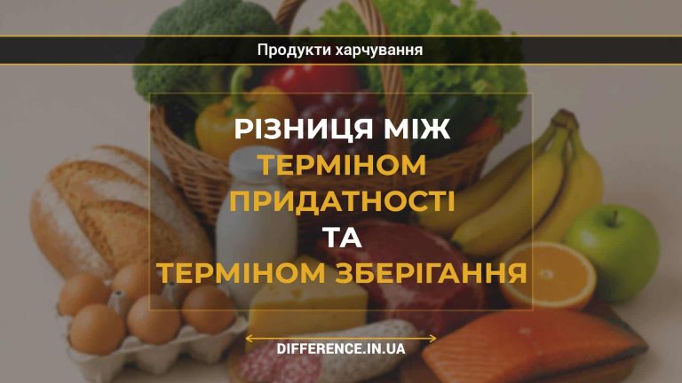 Різниця між терміном придатності та терміном зберігання (1)