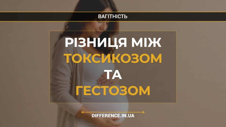 Різниця між токсикозом та гестозом