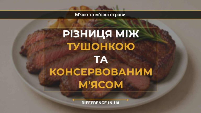 Різниця між тушонкою та консервованим м'ясом