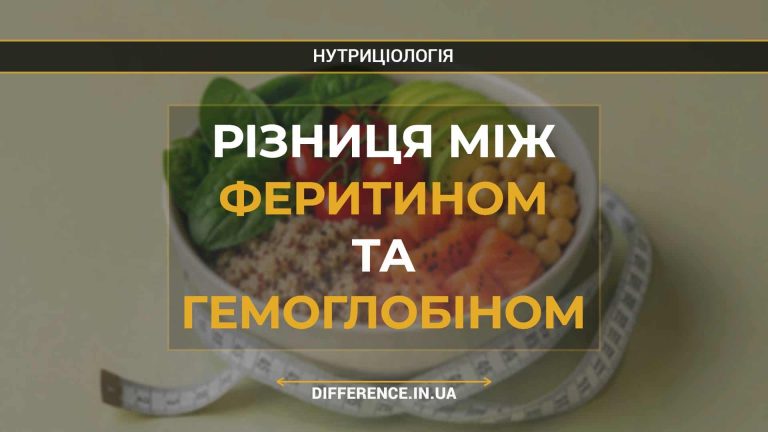 Різниця між феритином та гемоглобіном