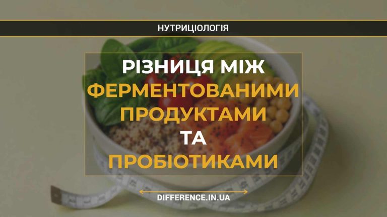 Різниця між ферментованими продуктами та пробіотиками