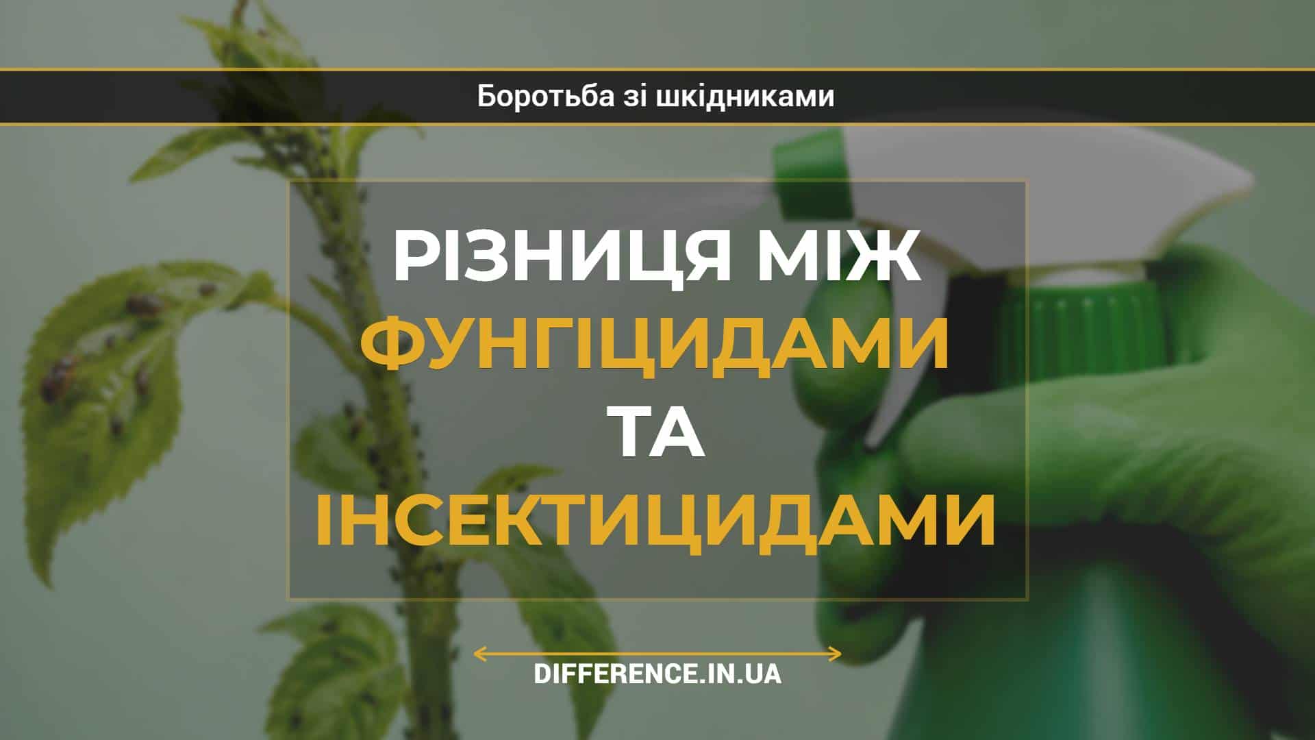 Різниця між фунгіцидами та інсектицидами